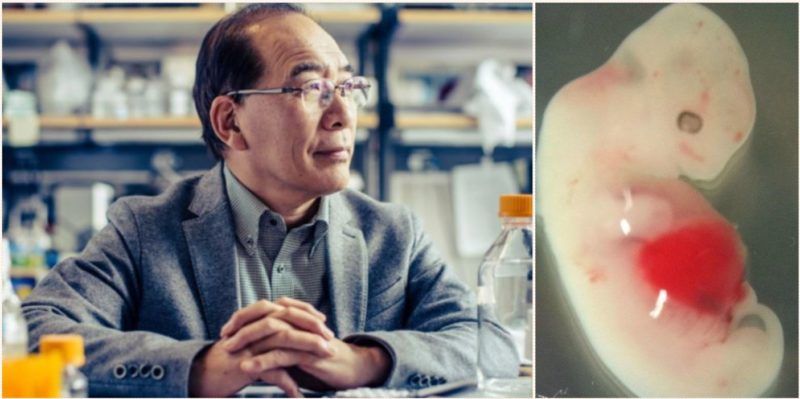 ODOBRENO UMJETNO STVARANJE ORGANA U ŽIVOTINJAMA