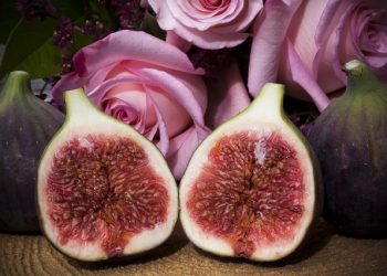 Smokve kao izvor vitamina, a i donose mnoge zdravstvene benefite!