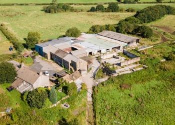 Vlasnik farme u blizini Manchestera besplatno nudi prostor za održavanje vjenčanja za vrijeme korona krize