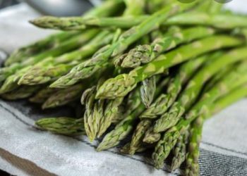 Njihovo proljetno visočanstvo- šparoge