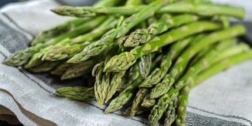 Njihovo proljetno visočanstvo- šparoge