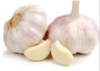 Savjeti za eko uzgoj češnjaka