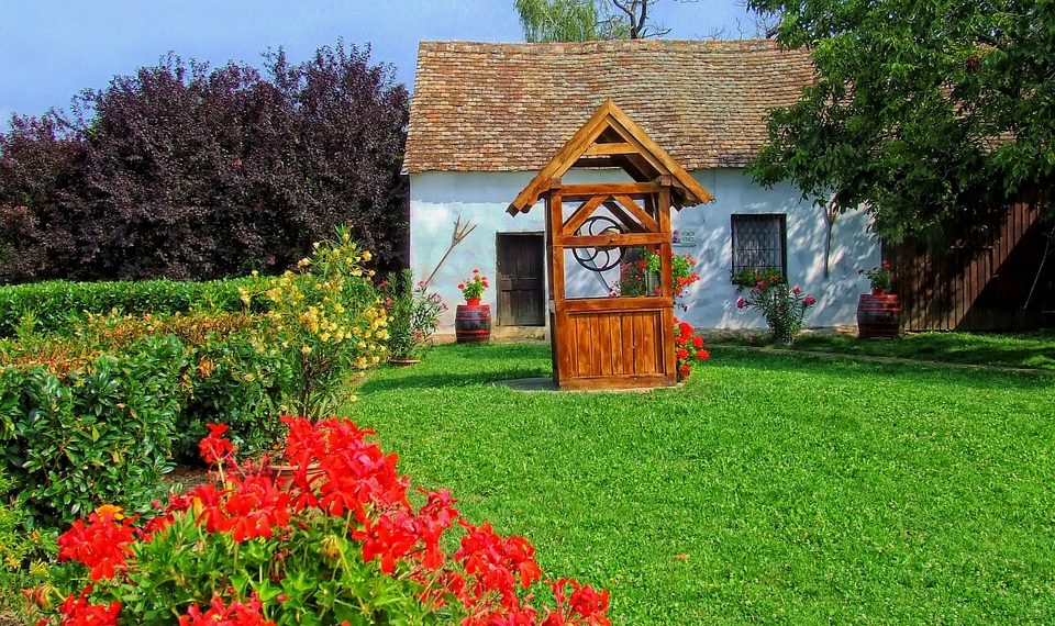 Male tajne: Do savršenog travnjaka u samo nekoliko koraka