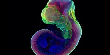 Svi filmovi koje smo gledali postaju stvarnost? Izraelsko arapski znanstvenik šokirao svijet