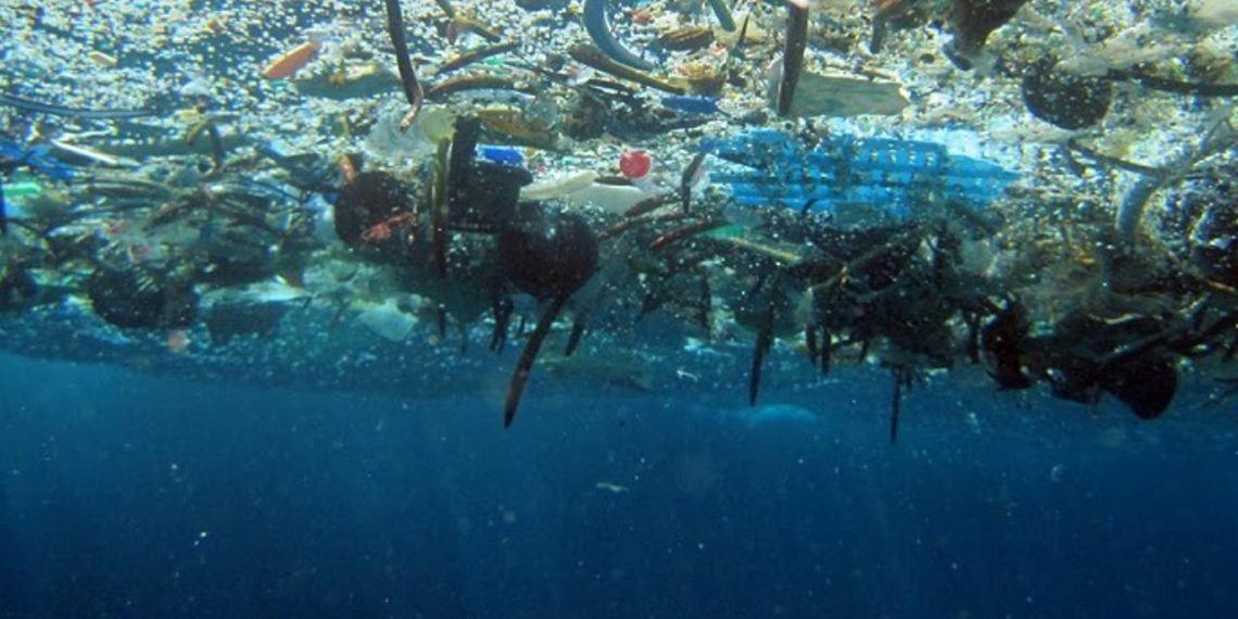 Smeće u našim morima, jedemo li plastiku u ribama?