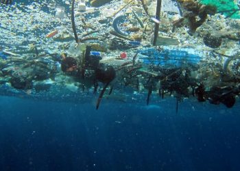 Smeće u našim morima, jedemo li plastiku u ribama?