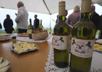 Manifestacija ˝Vivodina Wine and Walk˝ premijerno u Karlovačkoj županiji