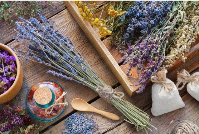 Sve što trebate znati o sušenju bilja da bi ono dulje trajalo