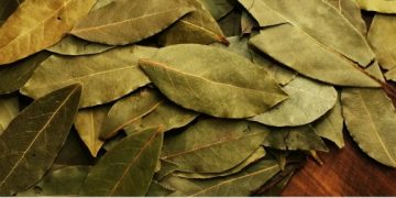 Pet biljaka koje prirodno izbijeljuju zube i štite desni