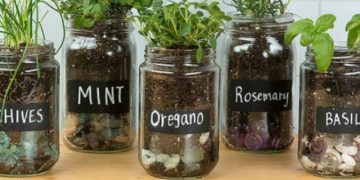 Tri jednostavna trika kojim ćete postići da začinsko bilje traje dvostruko dulje