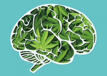 Znanost službeno: Marihuana je okidač za psihozu i šizofreniju