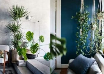 Najbolje biljke za tamne prostore