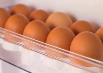 Pandemija koronavirusa utjecala je na rast izvoza domaćih jaja za 24 posto