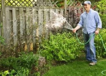 Kako pravilno zalijevati biljke