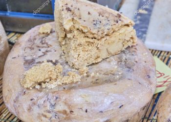 Casu marzu: ‘Najopasniji’ sir na svijetu