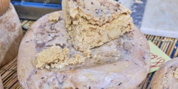 Casu marzu: ‘Najopasniji’ sir na svijetu