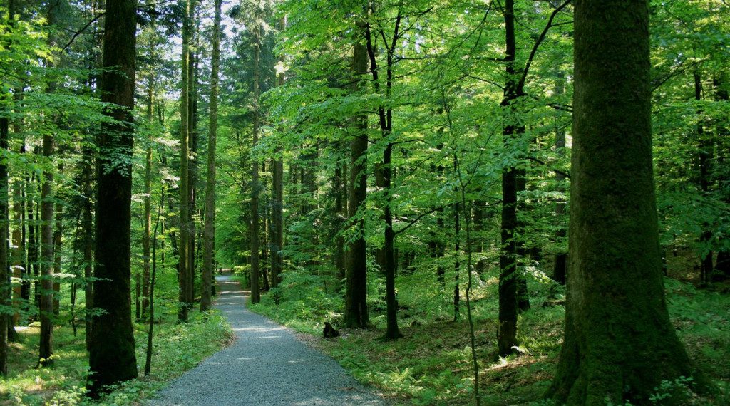 Jedinstven po prirodnim ljepotama