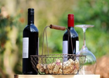 Vino dozrelo u svemiru moglo bi postati najskuplje ikada