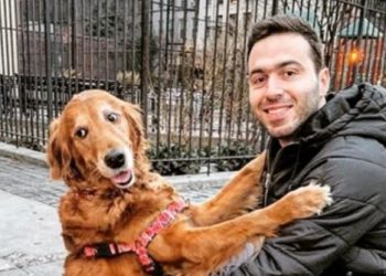 Upoznajte zlatnu retrivericu koja dijeli zagrljaje prolaznicima