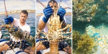 Australac ulovio divovskog jastoga pa ga vratio u ocean