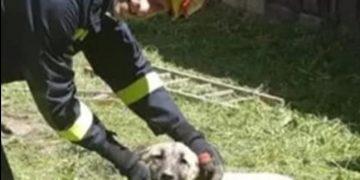Mlada ženka kangala spašena iz septičke jame zahvaljujući vatrogascima iz Ogulina