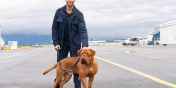 Trailer za seriju Turner and Hooch