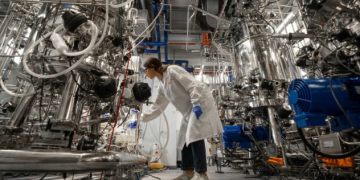 U Izraelu počela proizvodnja “uzgojenog” mesa!