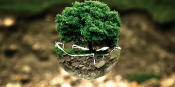 Danas je svjetski dan zaštite okoliša: Čuvanjem prirode, čuvamo i zdravlje!