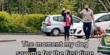 Pogledajte dirljiv susret psa i vlasnice nakon 18 mjeseci razdvojenosti