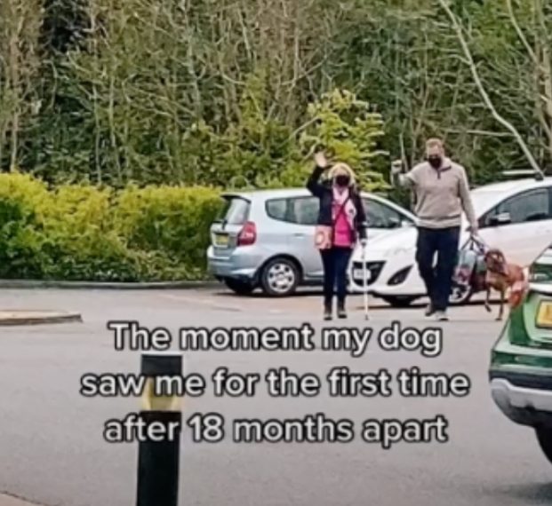 Pogledajte dirljiv susret psa i vlasnice nakon 18 mjeseci razdvojenosti