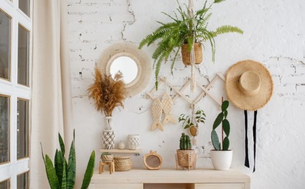 Kako ljeti najbolje zaštititi biljke