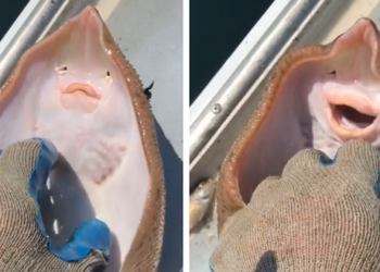 Ribar poškakljao ražu, ona mu se osmijehnula!