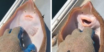 Ribar poškakljao ražu, ona mu se osmijehnula!