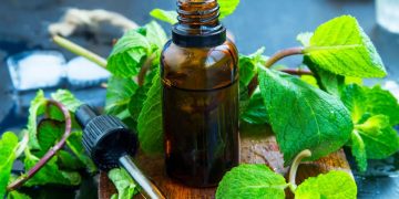 Ulje mente: Riznica blaga u medicini i kozmetici