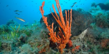 Mladi studenti koji se žele oprobati u reporterstvu