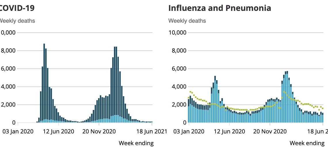 Lauc: Ljudi umiru više zbog Gripe i Pneumonije a ne zbog Covid sojeva!