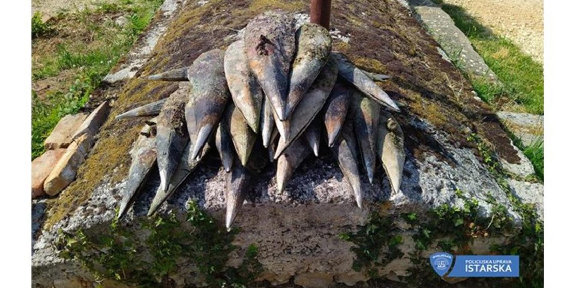 ISTRA: Poljak iščupao 29 periski i prenosio ih na zračnom madracu