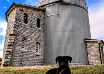 Zvjezdarnica Višnjan dobila slatkog dlakavog zaposlenika; zove se Mars