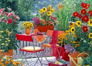 Biljke krasotice koje će uljepšati svaki balkon