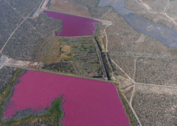 Jezera u Argentini misteriozno postala ružičasta!