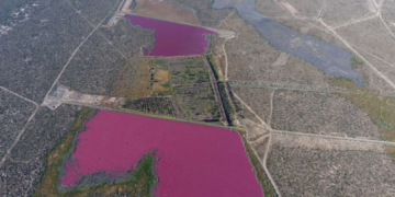 Jezera u Argentini misteriozno postala ružičasta!