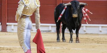 Vječita svađa o borbama bikova u Španjolskoj: Zabraniti ili ne?