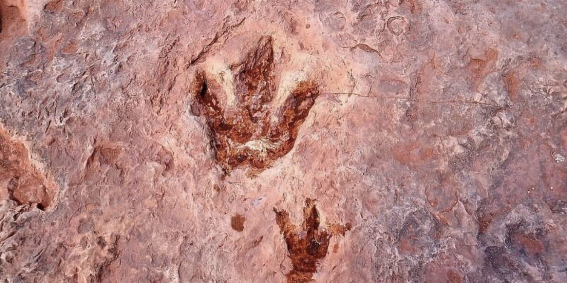 Najbolje očuvani otisci stopala dinosaura nalaze se u Arizoni!