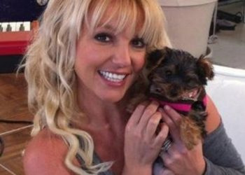 Britney Spears u novom skandalu, pjevačica zbog nedostatka brige zamalo skrivila smrt svog psa