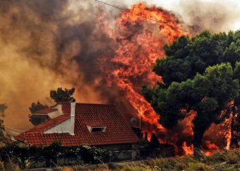 Turska i Grčka dijele istu požarnu tragediju. Apokalipitični požari preko stotinu u svakoj zemlji (video)
