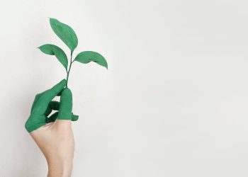 Jednostavni načini za ekološki prihvatljiviji stil života
