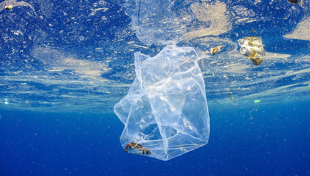 Plastika ugrožava brojne živote, zagađena i dosad netaknuta područja Zemlje