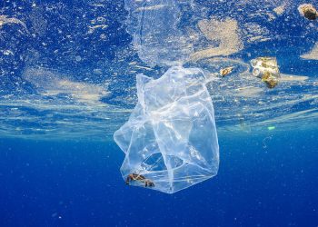 Plastika ugrožava brojne živote, zagađena i dosad netaknuta područja Zemlje