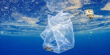 Plastika ugrožava brojne živote, zagađena i dosad netaknuta područja Zemlje