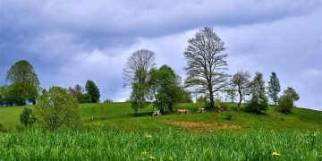 Vlada stimulira mlade poljoprivrednike